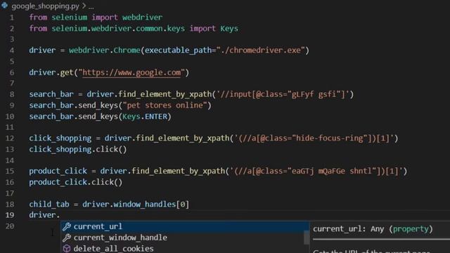Automate Google with Python Selenium - Web Scraping with Python (Part - 1)