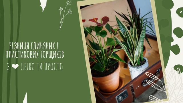 ГОРЩИК для квітів : як вибрати правильно?🧺🌹 Розмір та матеріал 💐🌹КАПШО чи горщик ? 🌿