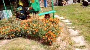 Влог отзыв о краске из Светофора