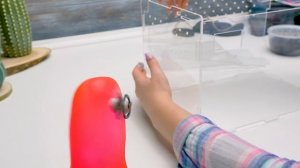 Собираем террариум для тарантула