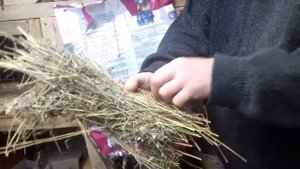 Что делать если кролики переводят сено.