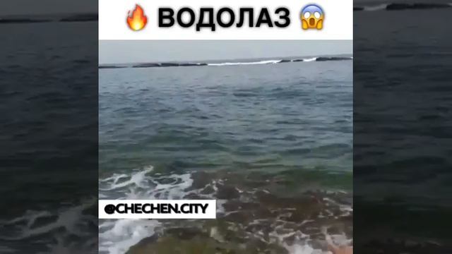 Шок! В дагестане чеченцы засняли водолаза на пляже смотреть онлайн
