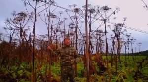 Ножовка,Кама,Пермский край