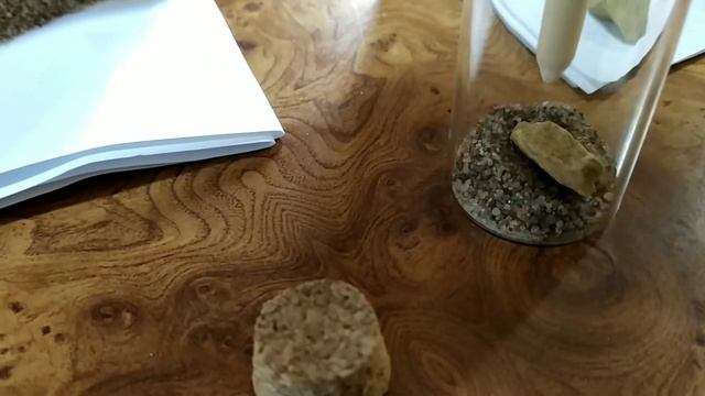 Флорариум своими руками. смотреть онлайн