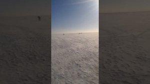 Рыбалка 23. 02. 19г. Казахстан ВКО. БУКОНЬ