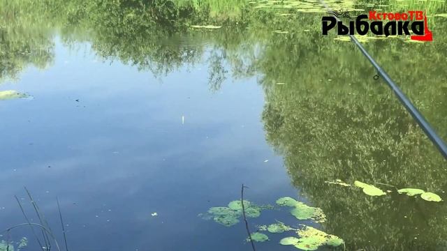 Здесь ловит каждый.Рыбалка на мормышку и поплавок летом смотреть онлайн