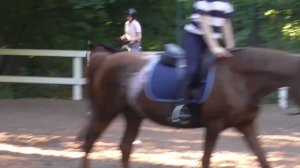 Лошадь заводится на рыси и галопе. Тренировка на Глаше, ч.2