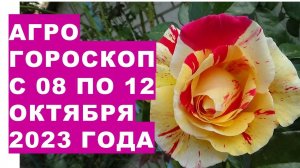 Агрогороскоп с 08 по12 октября 2023 года.Agrohoroscope from October 8 to October 12, 2023