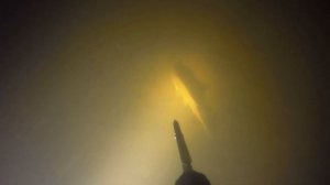 Ночная подводная охота на леща, и сома