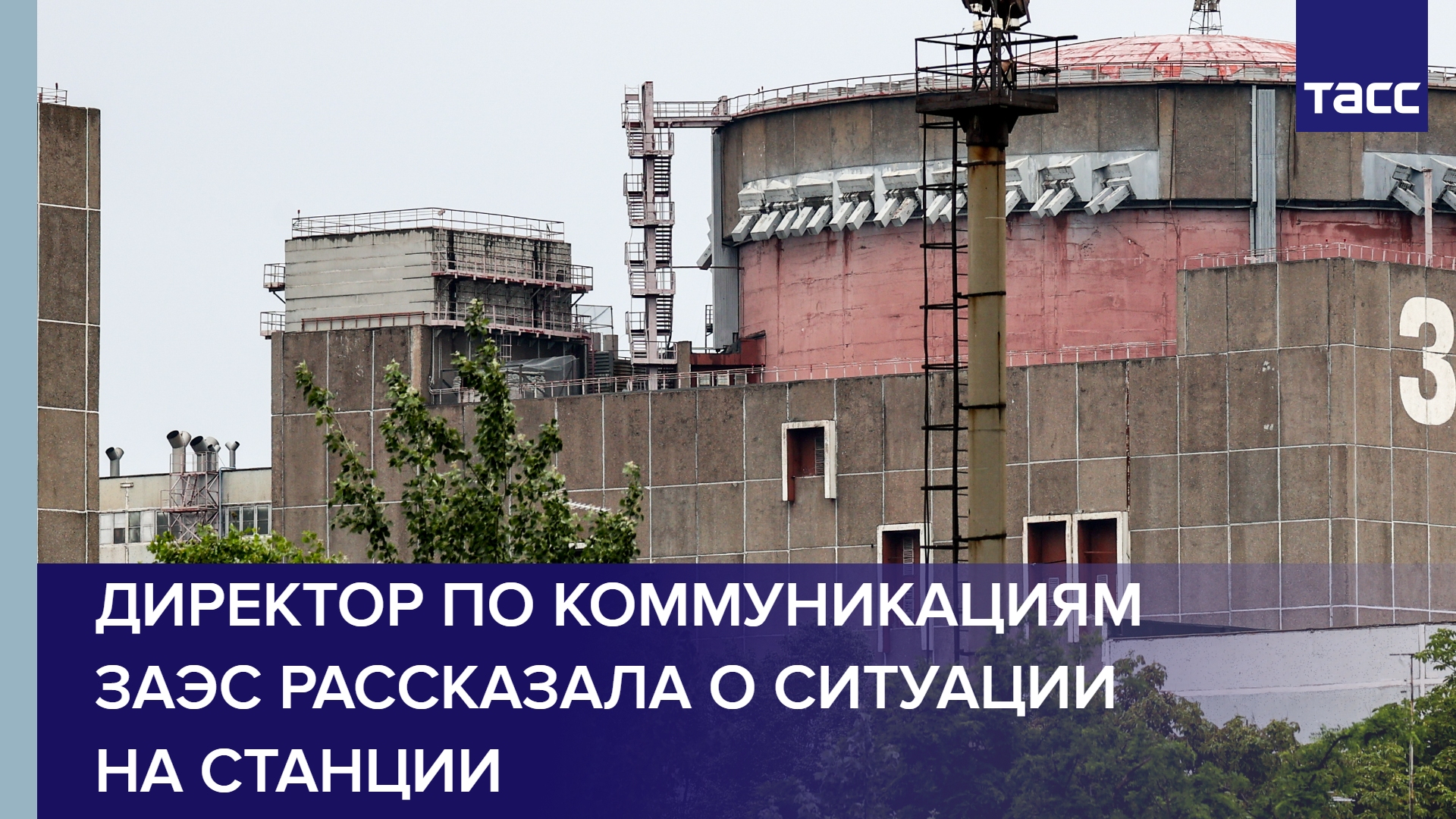 Директор по коммуникациям ЗАЭС рассказала о ситуации на станции