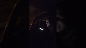 КАВЕР Вся из сусального золота