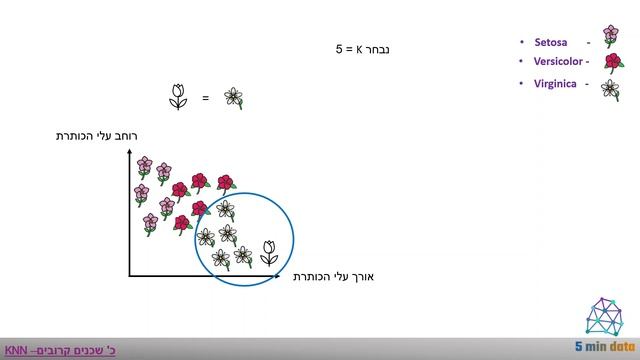 כ שכנים קרובים KNN k nearest neighbour смотреть онлайн
