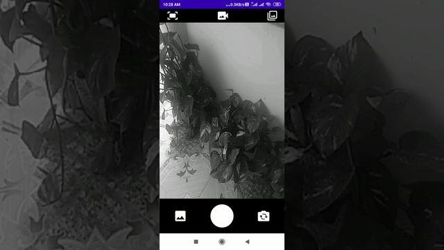OpenCV Android App Camera Basics Part 5: Record Video With Audio (Output)