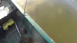 Рыбалка в Астраханской области. Осень 2017. Поселок Вышка. Турбаза Лариса.