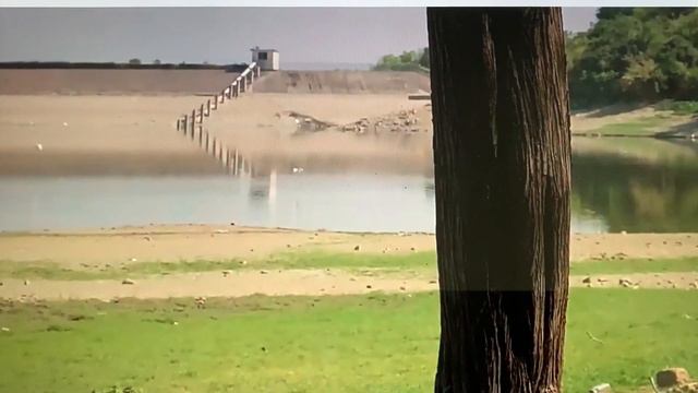 Роскошный шатер 2908 смотреть онлайн