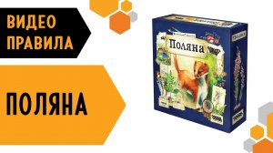 ПОЛЯНА — Видео правила настольной игры ??璉