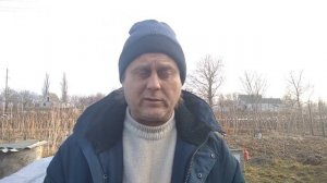 Купить саженцы малины - где, как и кого? Наш опыт и наши рекомендации