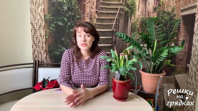 Как вырастить каллу | Секреты ухода за каллой дома и в саду
