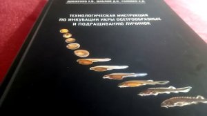 Книга про инкубацию осетров и выращивание малька!!? #рыбоводство #осетр #инкубация #малек #рыба #уз
