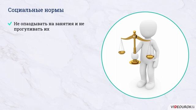 24  Социальные институты