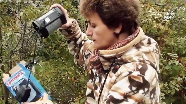 как защитить дом от мышей. Ультразвуковой  отпугиватель  «Чистон»