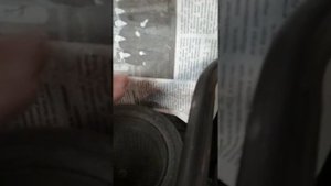 Toyota AQUA забита сетка вентилятора ВВБ.