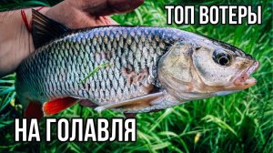 НЕ ОЖИДАЛ, что ЭТИ ТОП ВОТЕРЫ так ПОНРАВЯТСЯ ГОЛАВЛЮ