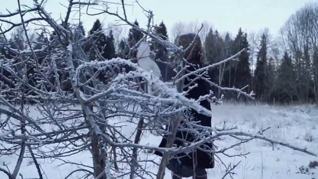 Овечка Фиби cover of The Witcher - песня Присциллы