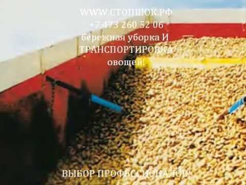 Анти Удар, Стоп Удар, стопшок  защита картофеля