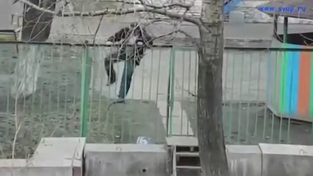 Мужик дурак 😂😂😂😂 смотреть онлайн