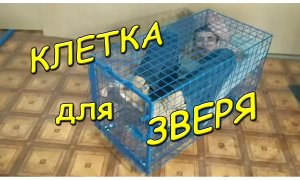 Клетка для зверя (животных, кошек, собак). Производство любых. Cage for animals