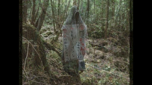 ТОП 5: Самые жуткие места на земле смотреть онлайн