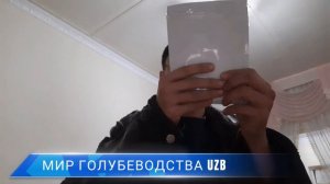 💊 ТРИХОВЕТ 2в1 РЕАЛЬНО  ПОМОГ МОИМ ГОЛУБЯМ ТРИ TRICHOVET 2b1 REALLY HELPED MY PIGEONS