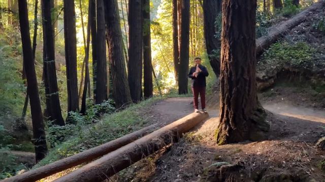 Telemann Fantasia no. 2 in a minor - Michael Hernandez soprano saxophone смотреть онлайн