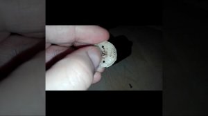 Ремонт перцемолки