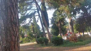 Город Сухум  (Абхазия) / Центр - набережная