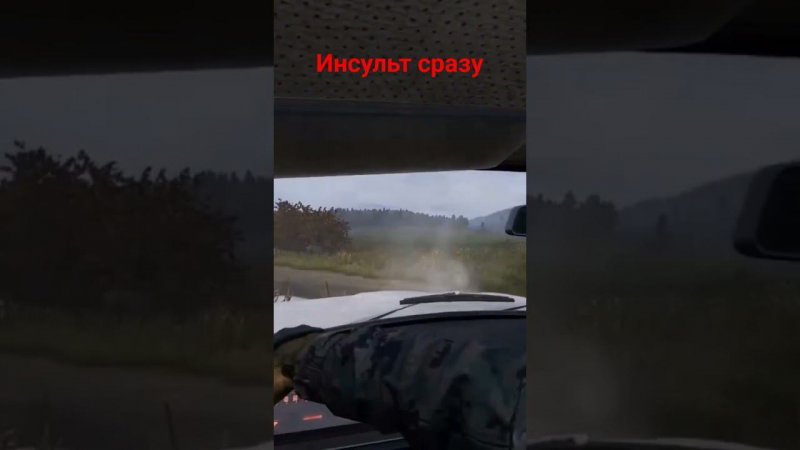 DayZ прикол!