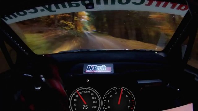 Раллийный автомобиль 206 км/ч, через лес...