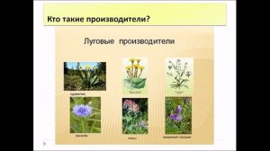 Природные сообщества. Биология 6 класс.