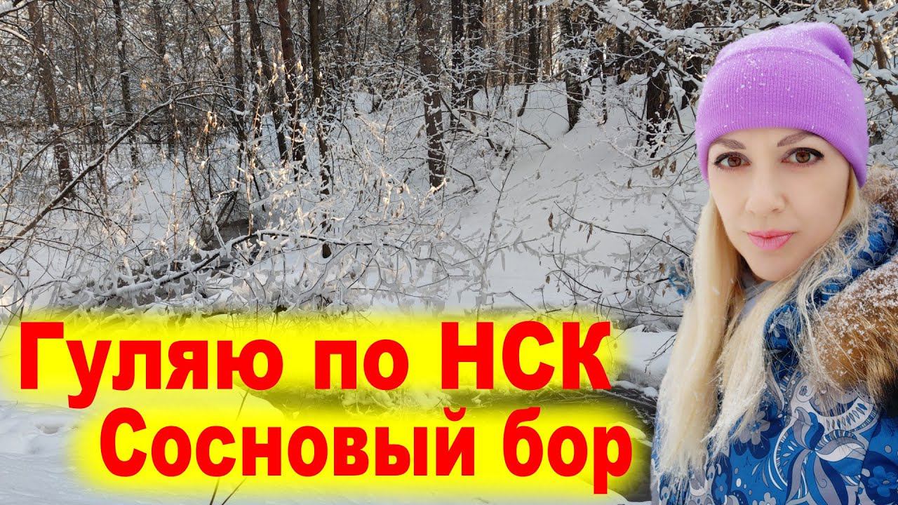 Гуляю по Новосибирску.  Часть 2  Сосновый бор