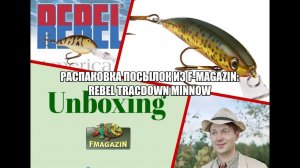 Распаковка посылок из F-magazin: Rebel Tracdown Minnow