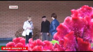 Бывшие грозненцы все чаще посещают столицу Чечни