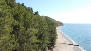 Абхазия, Пицунда, Пансионат Мюссера