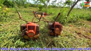 Husqvarna 541RS vs Husqvarna 143R-II phát cỏ thực tế sẽ như thế nào?
