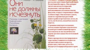 Виртуальная книжная выставка "Гости из леса"