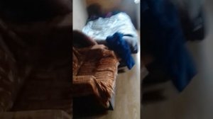 мальчик превращается в девушку и капризная