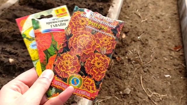 Сею в теплицу редис, капусту, цветы. смотреть онлайн