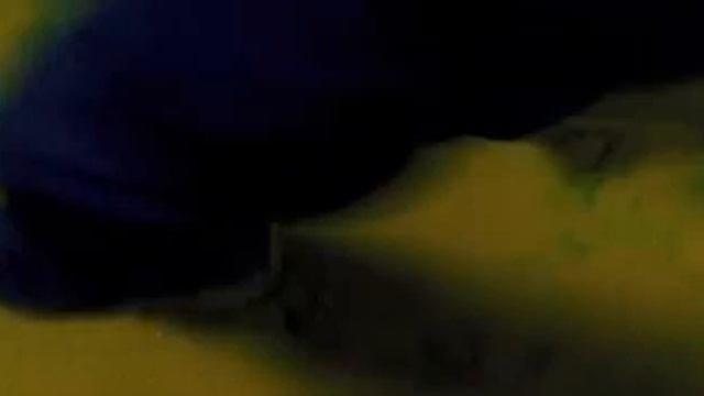 КОЛЕКЦИОНЕР  УЖАСЫ 2020 FULL HD