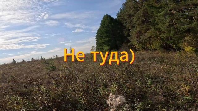 Спортивное ориентирование - участвовать в первый раз и занять место!