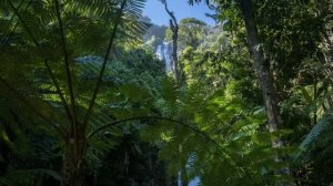 Таиланд, Лаос и Камбоджа